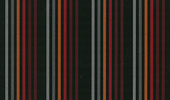 SA55 パターン幅195mm