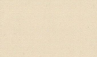 EC12 グレージュ