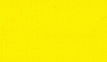 EC16 サフランイエロー