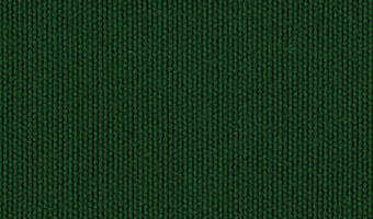 EC22 フォレストグリーン