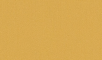 EC36 マリーゴールド